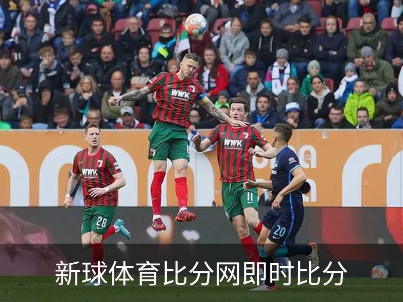 了解新球体育比分网即时比分